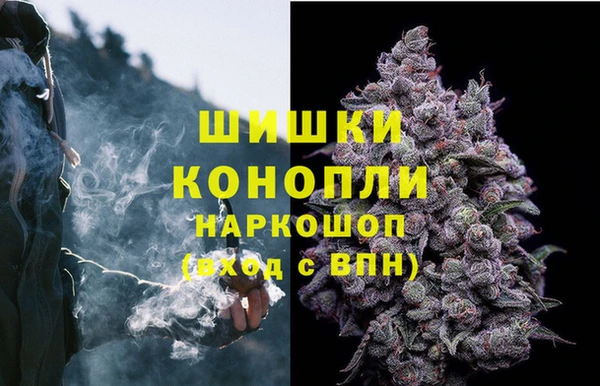 СК Козловка