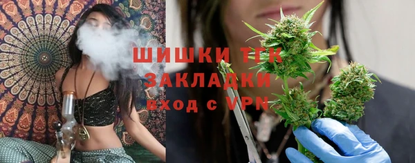 СК Козловка